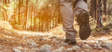 Trekking