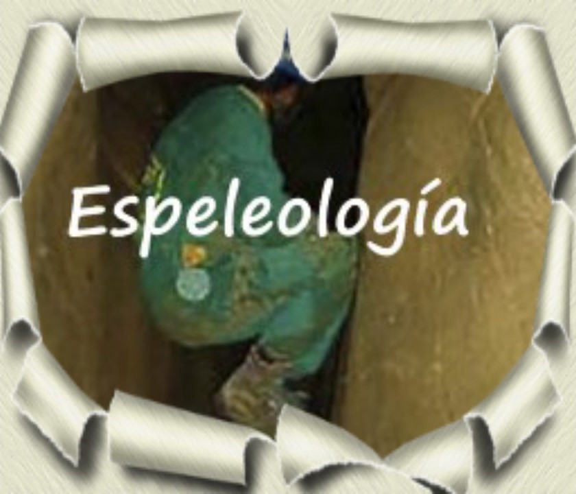 Pincha aquí 👇
