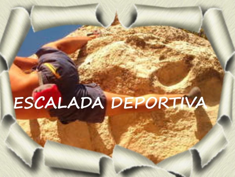 Pincha aquí 👇